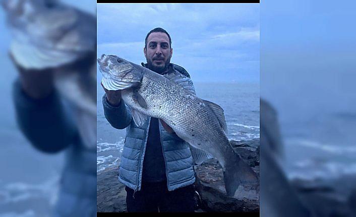 Akçakoca'da amatör balıkçı 8 kilogram ağırlığında levrek yakaladı