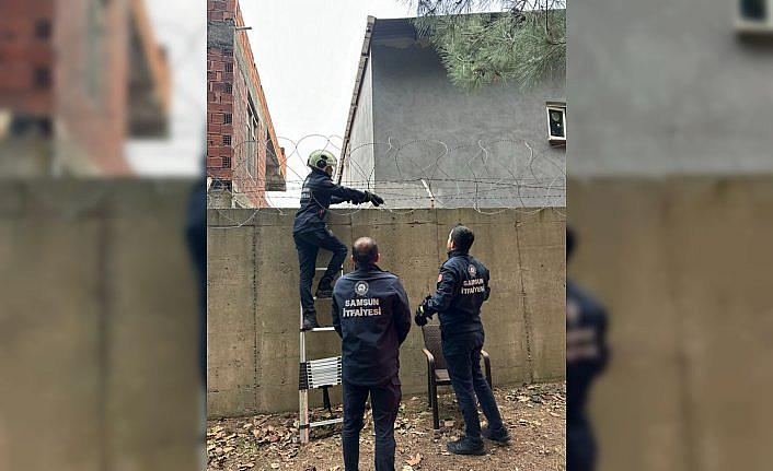 Samsun'da askeri alanda tellere takılan kediyi itfaiye ekipleri kurtardı