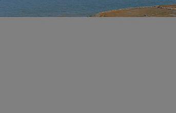 Akçaabat'ta Söğütlü Deresi'ndeki ıslah çalışmaları