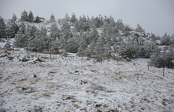 Başçiftlik ilçesinde kar yağışı, yüksek kesimleri beyaza bürüdü