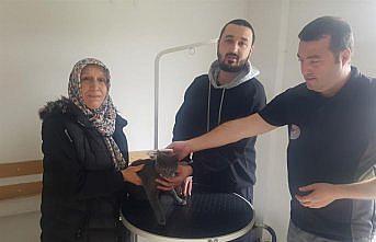 Düzce'de bulunan kedinin sahibine mikroçipi sayesinde ulaşıldı