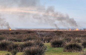 Kızılırmak Deltası Kuş Cenneti'nde çıkan yangın kontrol altına alındı