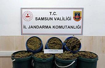 Samsun'da uyuşturucu operasyonunda 1 kişi tutuklandı