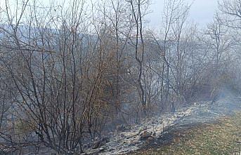 Niksar'da çıkan örtü yangını söndürüldü