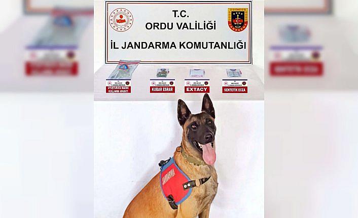 Ordu'da uyuşturucu operasyonunda 4 kişi yakalandı
