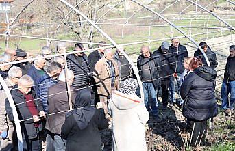 Safranbolu'da bağcılık kursu açıldı