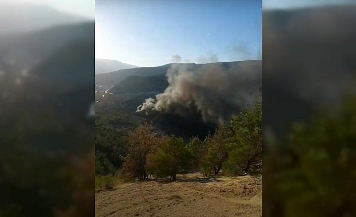Tokat'ta çıkan örtü yangını söndürüldü