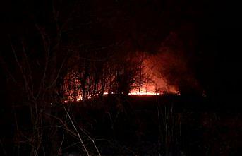 Zonguldak'ta çıkan örtü yangını söndürüldü