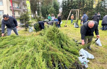 Bafra'da vatandaşlara fidan dağıtıldı