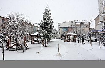 Çorum ve Tokat'ta kar etkili oluyor