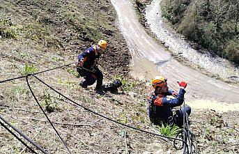 Giresun'da uçurumdan düşerek mahsur kalan köpek kurtarıldı