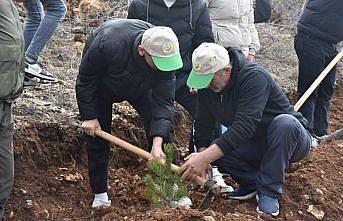 Gümüşhane'de 3 bin fidan toprakla buluştu
