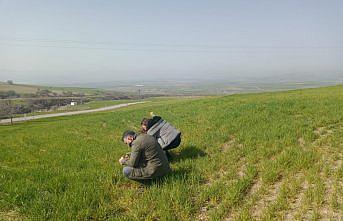 İskilip Ziraat Odası Başkanı Efe, çiftçileri hastalıklara karşı uyardı