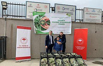 “Karabük Enginar Yetiştiriciliği“ projesi hayata geçirildi