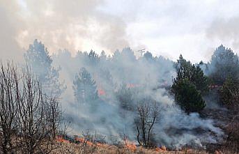 Karabük'te çıkan örtü yangını söndürüldü