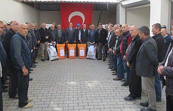 Merzifon'da çiftçilere nohut ve yağlık ayçiçeği tohumu dağıtıldı