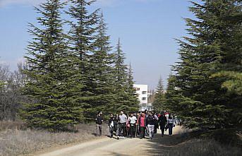 ODTÜ'lü öğrenciler doğadan ilhamla sürdürülebilir aydınlatma ürünleri tasarlayacak