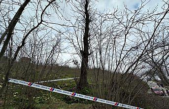 Ordu'da ağaçtan düşen kişi öldü