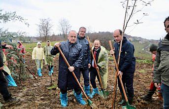 Ordu'da Dünya Ormancılık Günü kapsamında fidan dikimi yapıldı