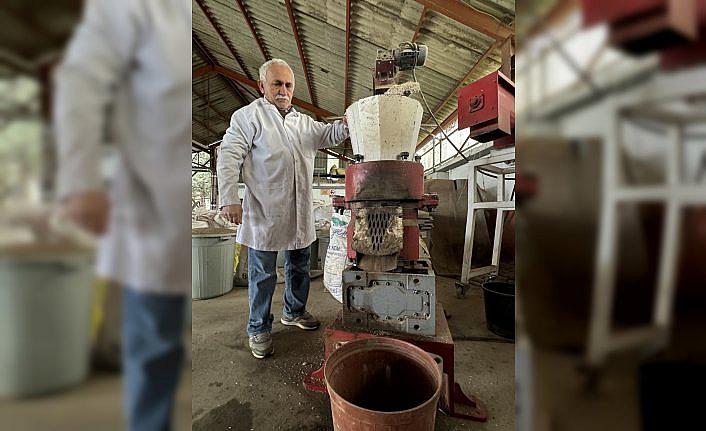 Samsun'da kenevir sapından yüksek kalorili yakıt üretildi