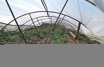 TARSİM, Antalya'daki hortumdan etkilenenlere 39 milyon TL ödeme yaptı