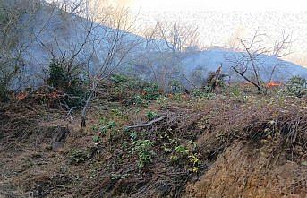 Trabzon'da çıkan örtü yangını kontrol altına alındı