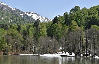 Borçka Karagöl Tabiat Parkı'na 1 milyonu aşkın ziyaretçinin gelmesi hedefleniyor