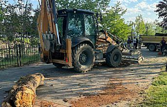 Düzce'de ağacın devrilmesi sonucu yere düşen kişi yaralandı