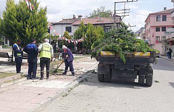 Hanönü Belediyesi park ve bahçelerde bakım yapıyor