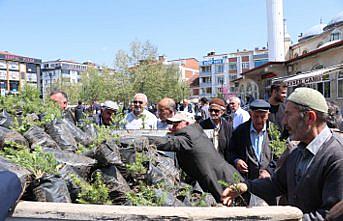 Havza Belediyesi vatandaşlara 1500 fidan dağıttı