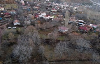 Kastamonu'daki asırlık Türk fındığı ağaçları koruma altına alındı