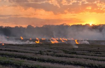 Sam­sun'da tarım ara­zi­sin­de çıkan yan­gın sön­dü­rül­dü