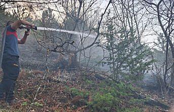 Sinop'un Gerze ilçesinde çıkan örtü yangını söndürüldü