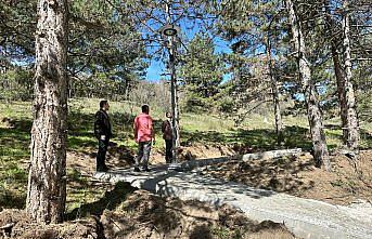 Tosya'da yeşil alanların sayısı artırılacak