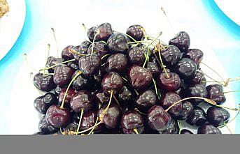 Amasya'da kiraz teşvik yarışması başvuruları başladı