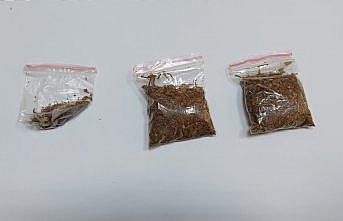 Amasya'da uyuşturucu operasyonunda 2 kişi gözaltına alındı