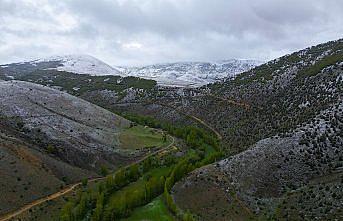 Bayburt ve Gümüşhane'nin yüksek kesimlerinde kar yağışı