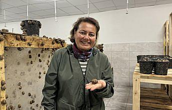 Bulgaristan'dan getirttiği salyangozlarla çiftlik kurdu