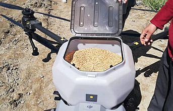 Hanönü'de dron ile çeltik ekimi yapıldı