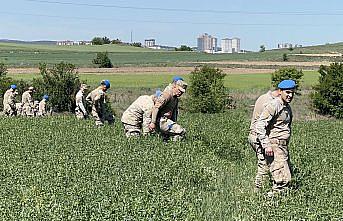 Kastamonu'da sulama kanalında başsız ceset bulunmasıyla ilgili soruşturma sürüyor
