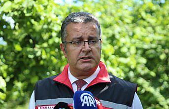 Ordu'da kahverengi kokarca ile mücadele için doğaya 150 bin samuray arı salınacak