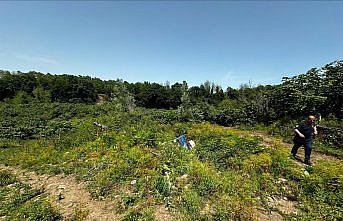 Samsun'da tarım aracının devrilmesi sonucu 3 kişi yaralandı