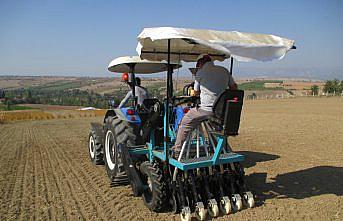 Yağ bitkisi ketencikte iki yeni tür geliştirildi