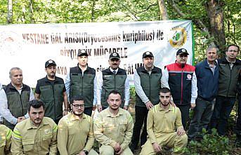 Zonguldak'ta gal arısıyla mücadele için doğaya yararlı böcekler bırakıldı