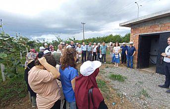 19 Mayıs ilçesinde kivi yetiştiriciliği eğitimi yapıldı