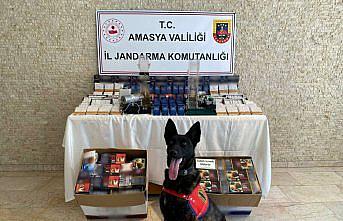 Amasya'da 18 bin makaron ele geçirildi