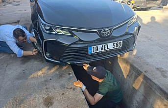 Çorum'da otomobilin motor bölümüne giren yılan belediye ekiplerince çıkarıldı