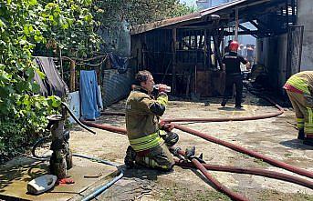 Düzce'de alevlerin arasından kurtarılan büyükbaş hayvanları suyla serinlettiler