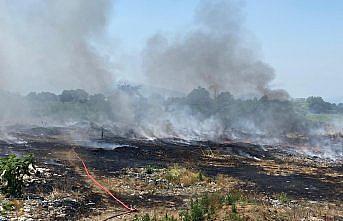 Düzce'de çöplük alanda çıkan yangın buğday ve mısır tarlalarına sıçradı