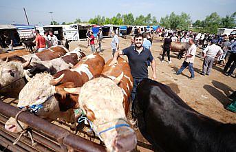 Düzce'de polis, kurban satıcılarını sahte para konusunda uyardı